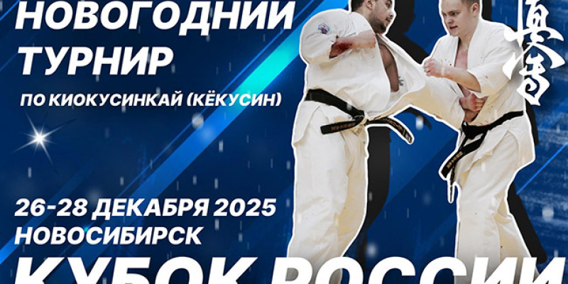 Новогодний турнир и Кубок россии 2025 г.